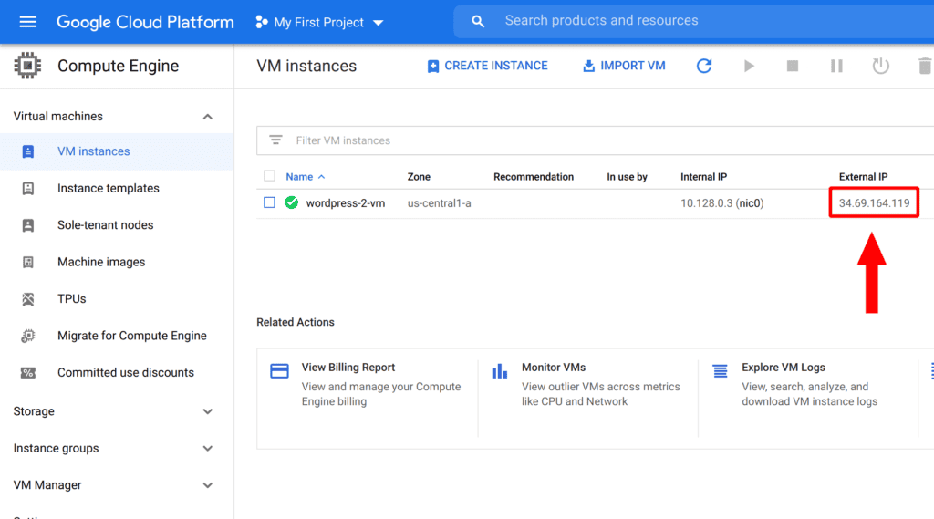 Copy Instance IP Address
